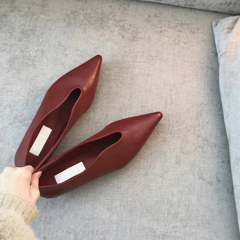 Women's Pointed Toe Retro Mules Shoes Corvine