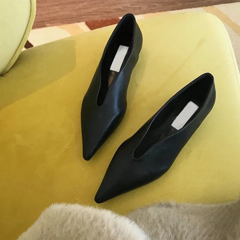 Women's Pointed Toe Retro Mules Shoes Corvine