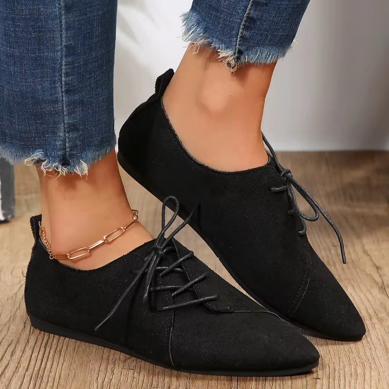 Women's Soft Suede Pointed Toe Flat Shoes Corvine